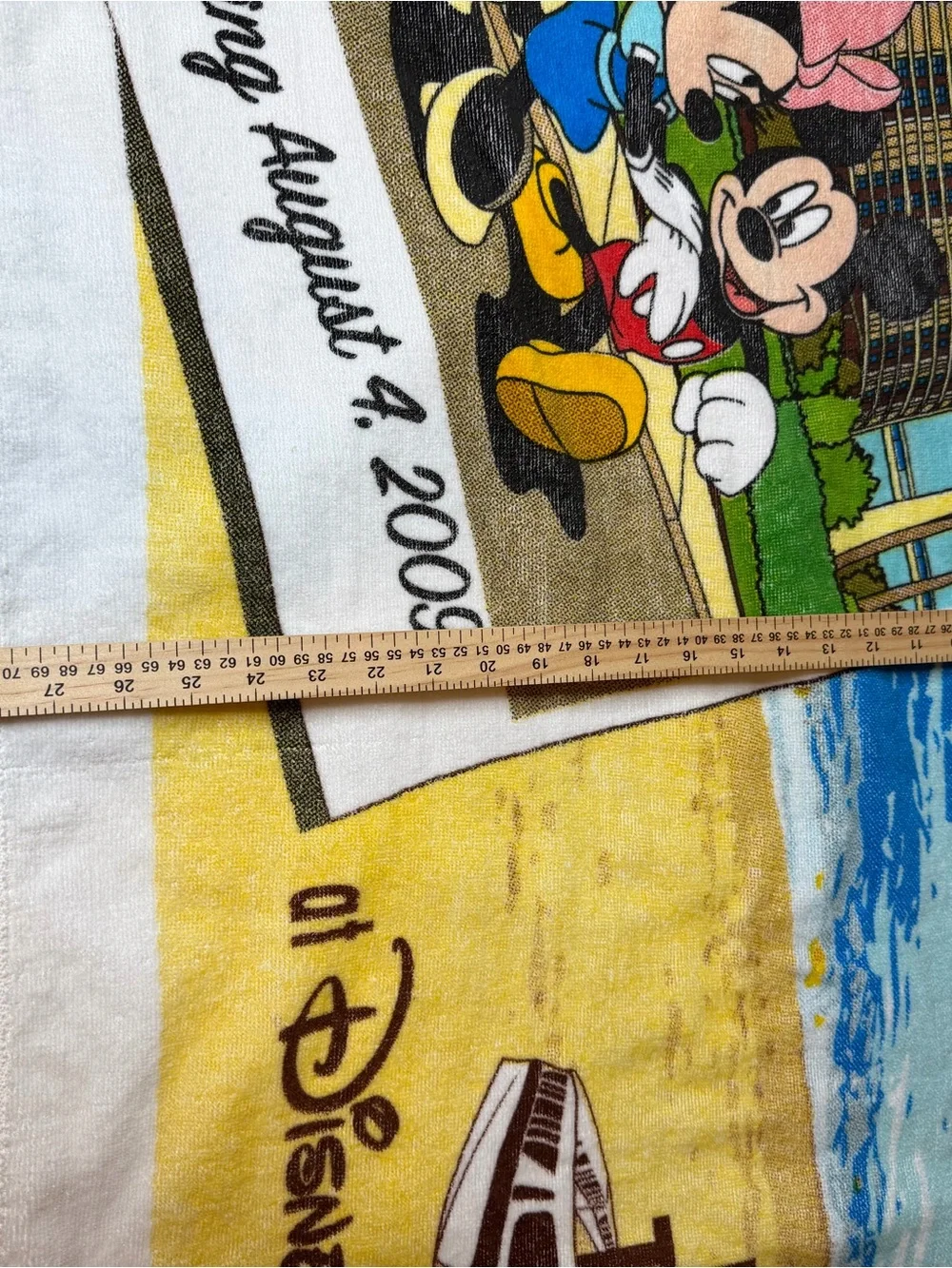Disney vtg bay